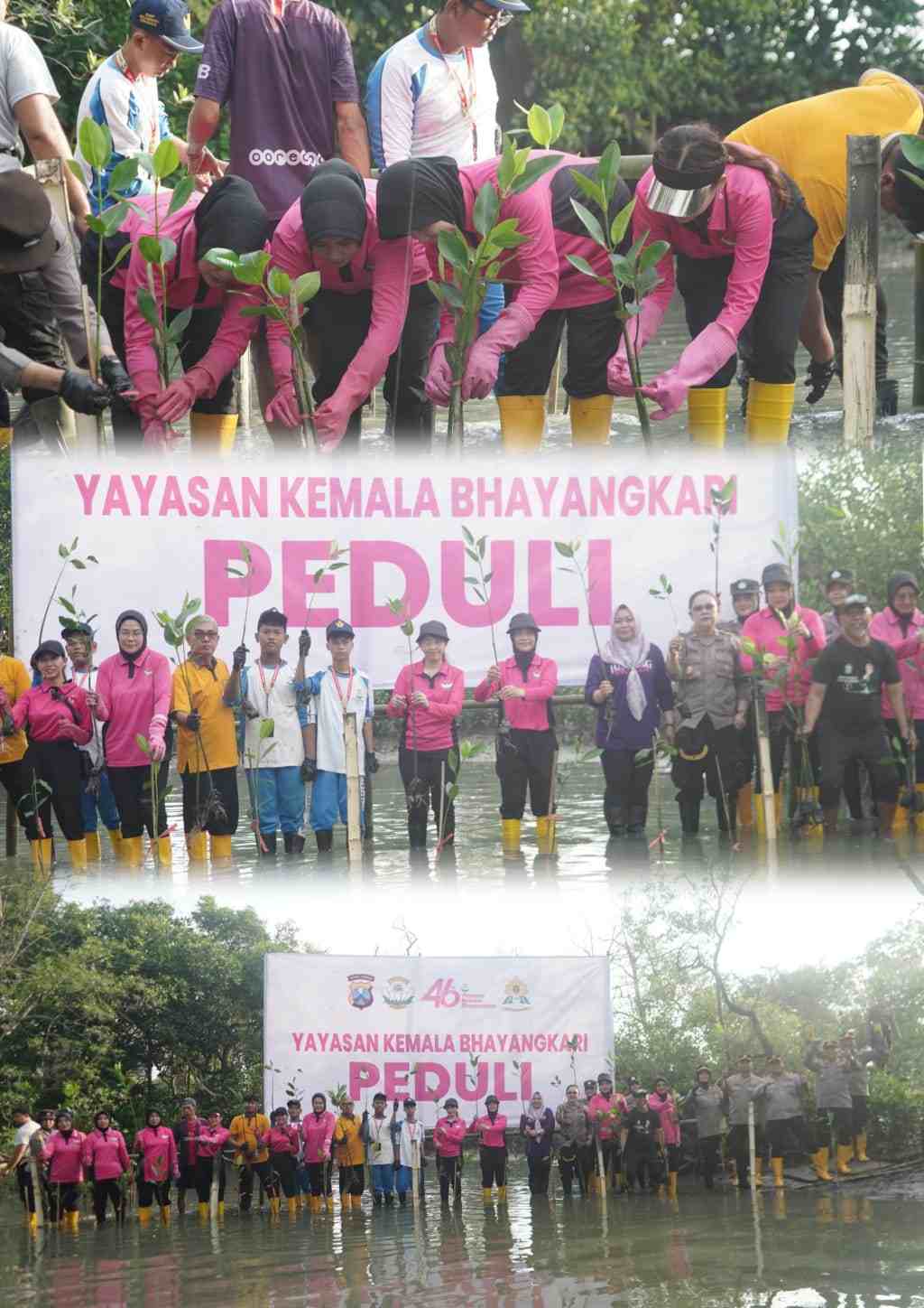 Sambut HUT ke-46, YKB Tanjung Perak Tanam Mangrove dan Gelar Baksos di Kalianak