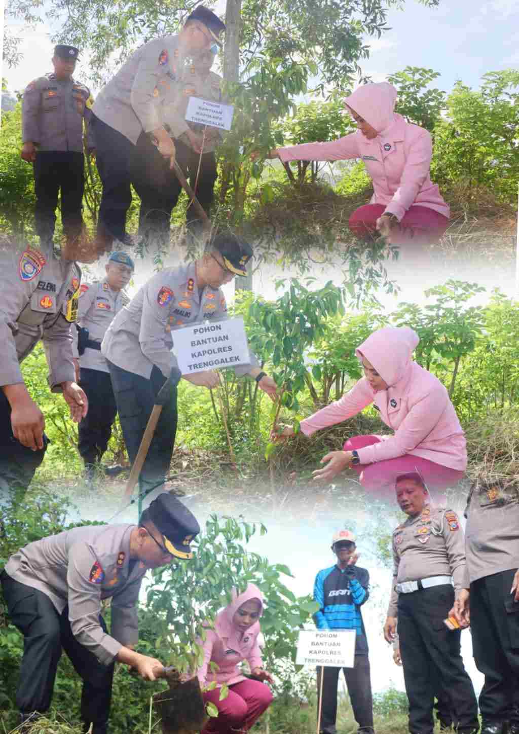 Polres Trenggalek Tanam Ratusan Pohon Beringin di Lahan Kritis Jaga Sumber Air