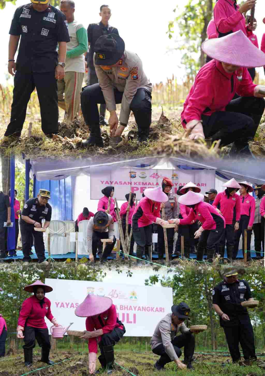 Polres Bojonegoro Sulap Lahan Kosong Jadi Kebun Jagung Wujudkan Swasembada Pangan