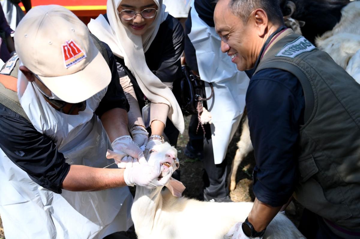 Pemkab Banyuwangi Periksa Kesehatan Hewan Kurban, Pastikan Layak saat Idul Adha   