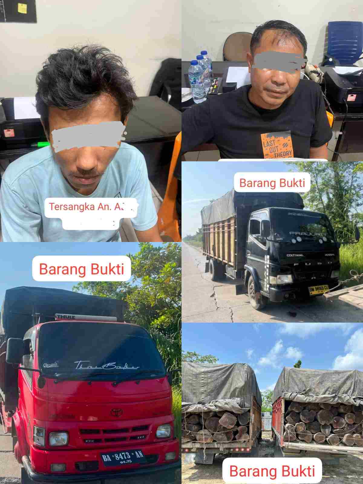 Satreskrim Polres Pelalawan Ungkap Illegal Logging di Lintas Timur Km 80, 2 Sopir Truk Kayu Mahang Tanpa Dokumen Diamankan
